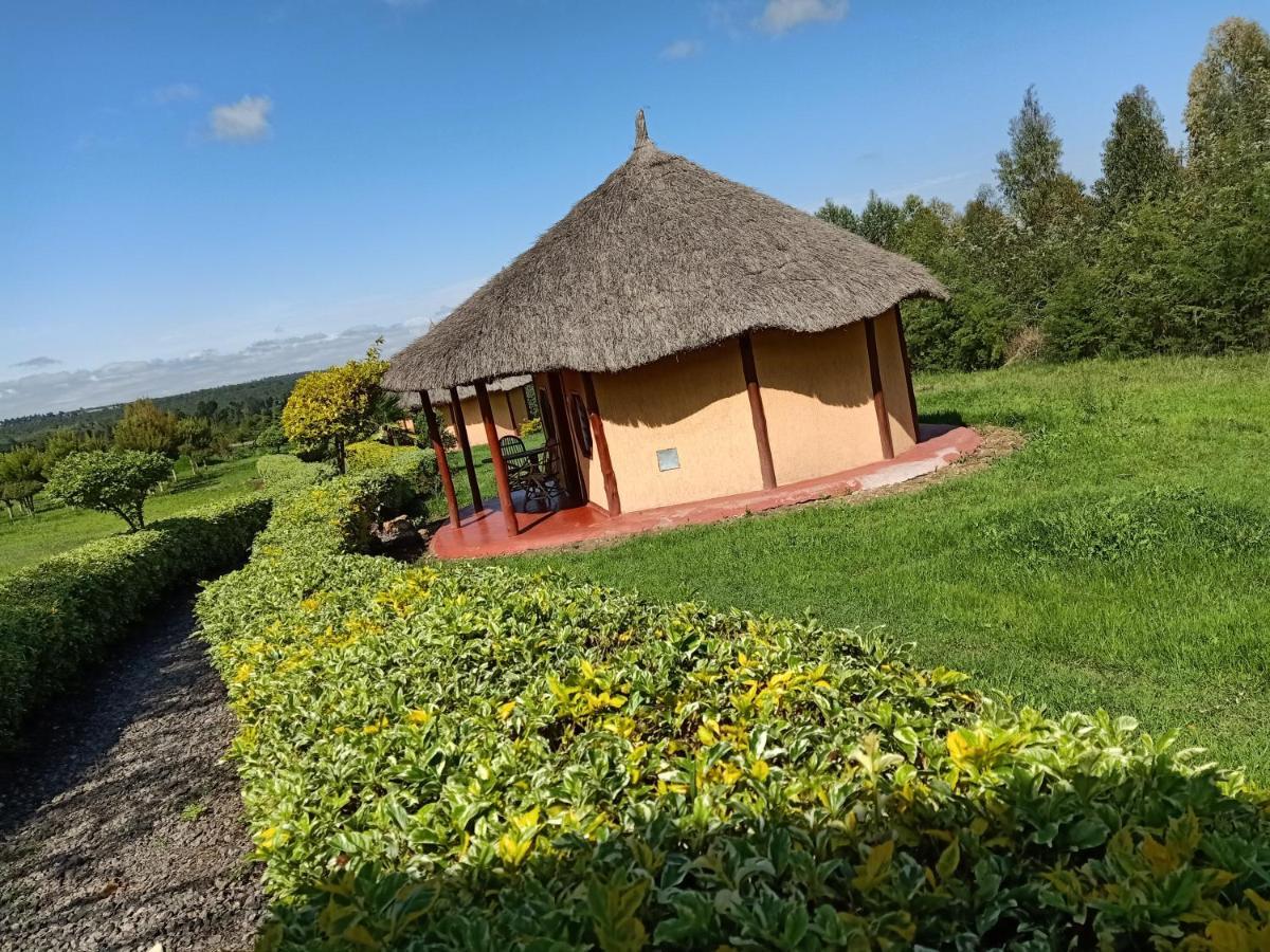 The Great Circle Lodge Nanyuki Eksteriør bilde