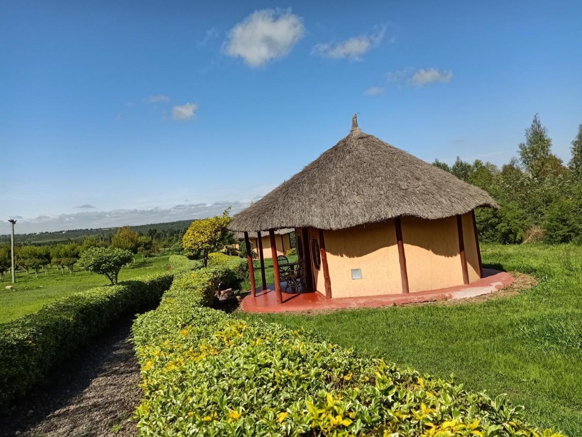 The Great Circle Lodge Nanyuki Eksteriør bilde